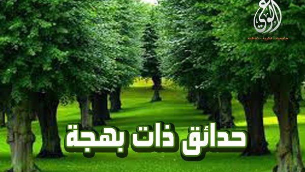 حلاوة الايمان؛ نبض القلب إلى قيادة الأمم